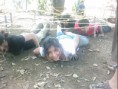 /album/fotogaleria/img056-jpg/